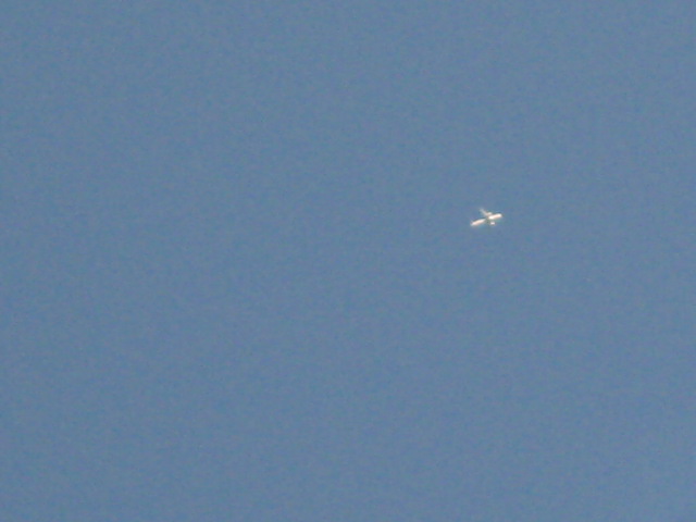 d0147727_20525094.jpg