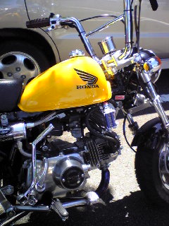 a0099129_22538.jpg