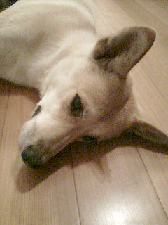 f0080530_172858100.jpg
