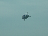 e0173634_2025262.jpg