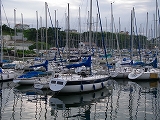 e0173634_20543466.jpg