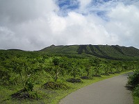 c0117635_054168.jpg