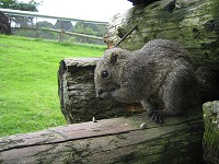 c0117635_063369.jpg