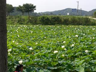 c0197036_0234074.jpg
