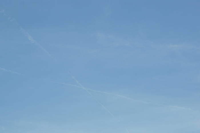 c0022340_316272.jpg