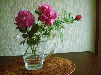 e0110940_2329104.jpg