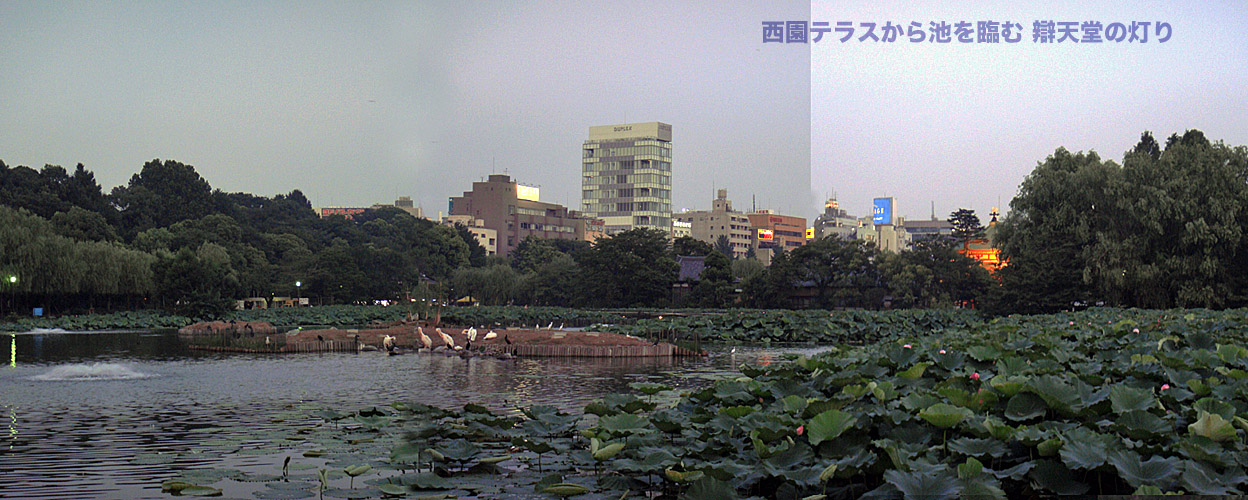 e0185645_8292840.jpg