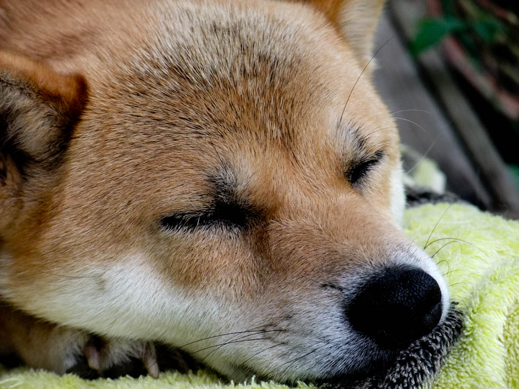 b0032262_0392784.jpg