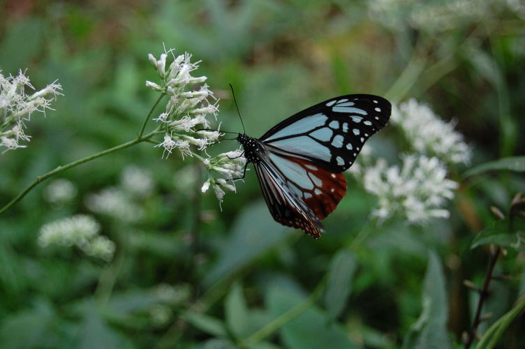 b0167762_2249338.jpg