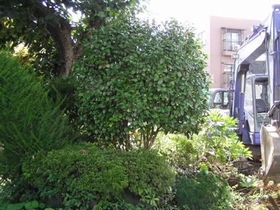 c0166668_6374899.jpg