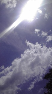 d0045171_1163959.jpg