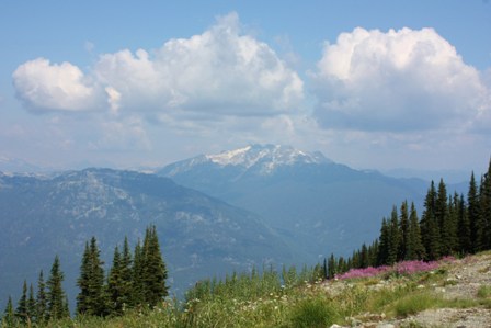 a0100975_0384386.jpg
