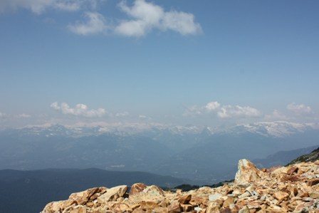 a0100975_1423350.jpg