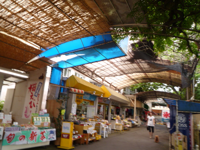 c0160778_1946890.jpg