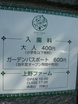 c0175679_10321349.jpg