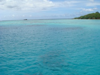 a0021482_23461575.jpg