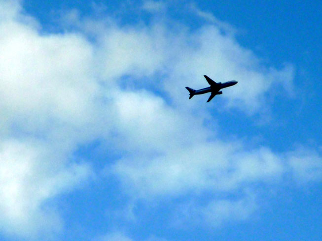 c0125283_1012183.jpg