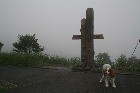 d0044986_2321668.jpg