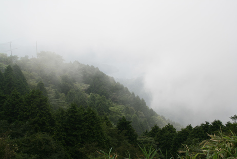 d0044986_23281129.jpg