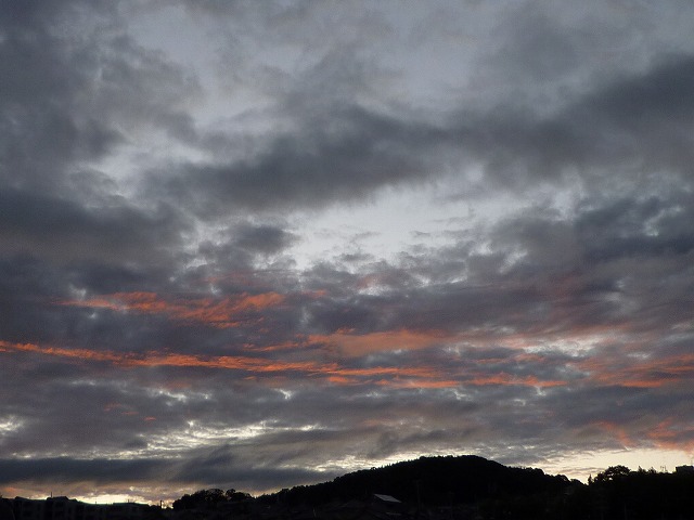 a0118289_13352462.jpg