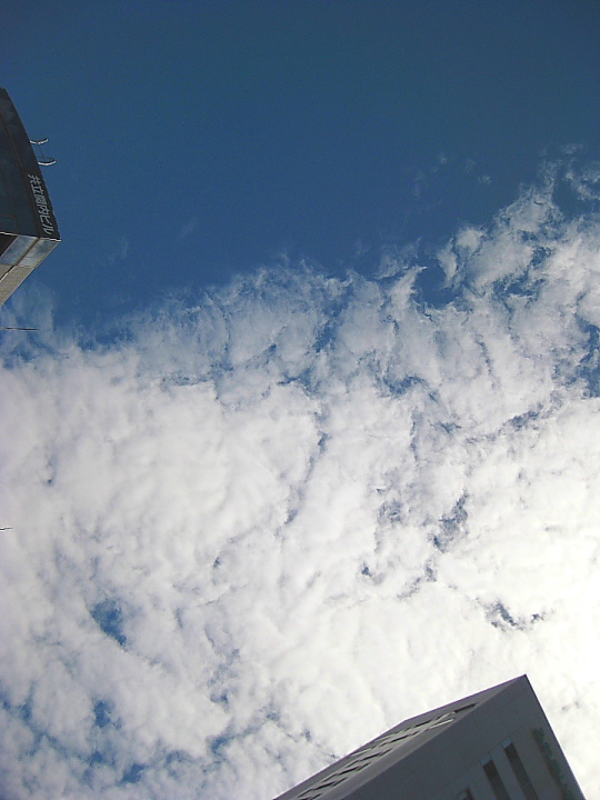 f0164989_6374068.jpg