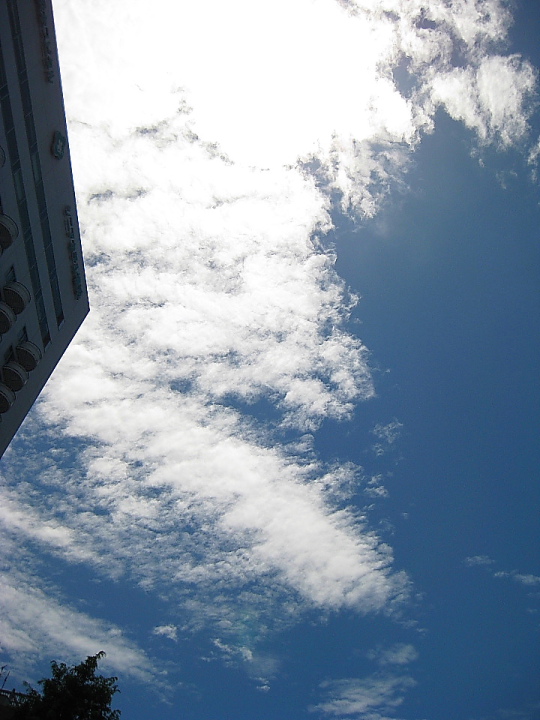 f0164989_6375759.jpg