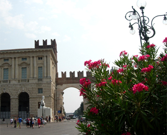 d0129295_16121218.jpg