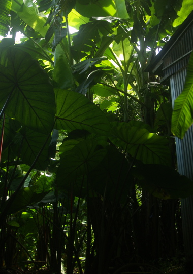 e0089001_2350498.jpg