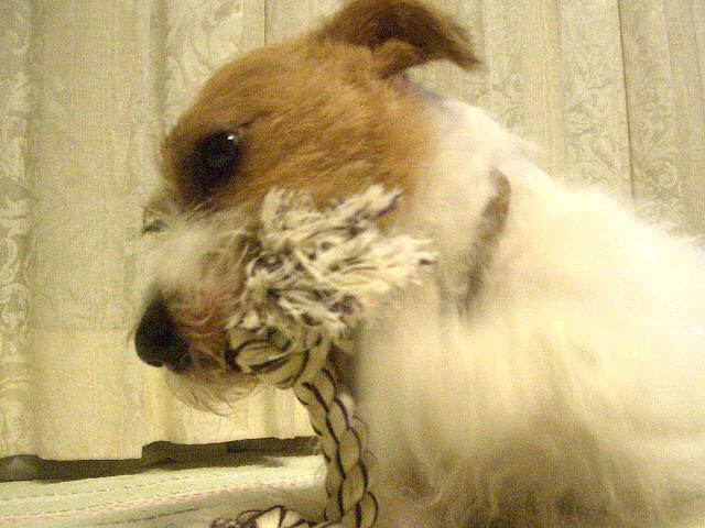 a0051402_21344425.jpg