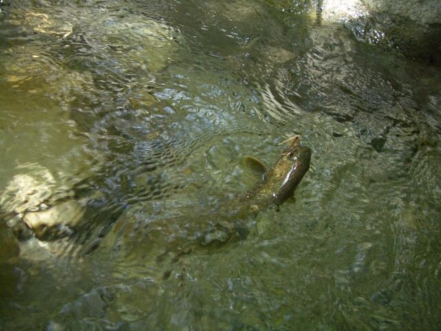 b0172805_113247.jpg