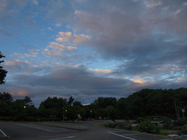 d0071507_125107.jpg