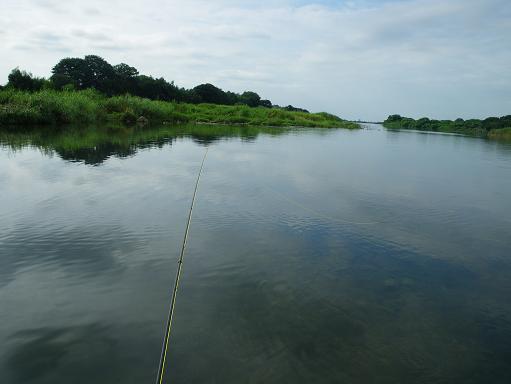 e0123808_16503812.jpg
