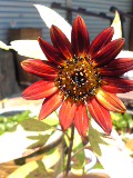 f0053615_227880.jpg