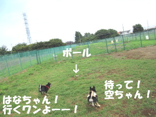 c0185516_13541639.jpg