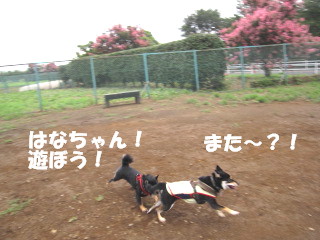 c0185516_13542753.jpg