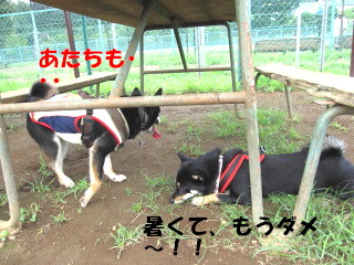 c0185516_13571866.jpg