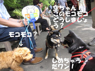 c0185516_1403374.jpg