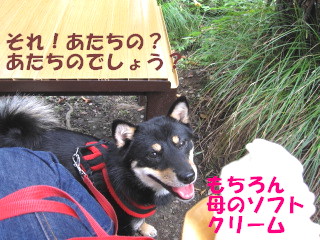 c0185516_14183751.jpg