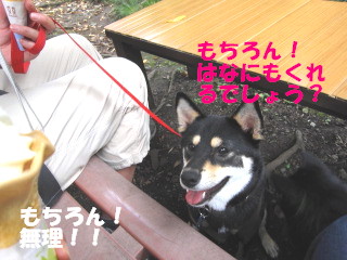 c0185516_14185597.jpg