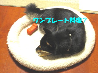 c0185516_1594980.jpg