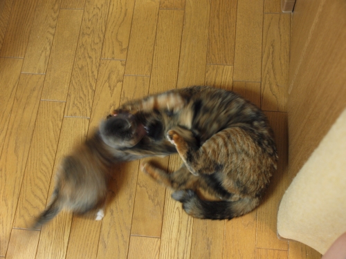 c0136217_10282837.jpg