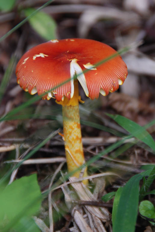 f0206417_11511471.jpg