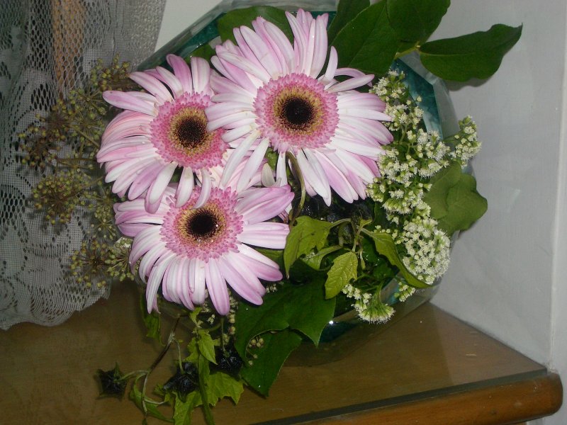 b0080418_20442883.jpg
