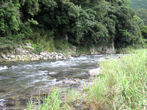 b0186119_12301437.jpg