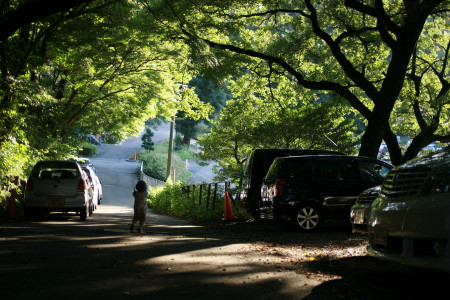 f0097620_2404786.jpg
