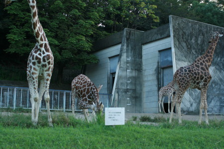f0097620_2471228.jpg