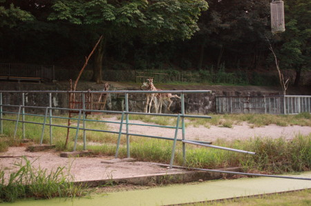 f0097620_2514544.jpg
