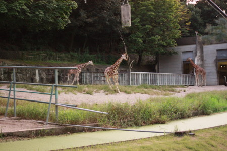 f0097620_2525058.jpg