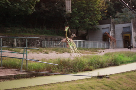 f0097620_2545739.jpg