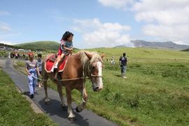 c0139023_731144.jpg